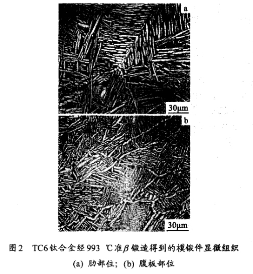 TC6鈦合金經(jīng)993 ℃準鍛造得到的模鍛件顯微組織(a) 肋部位；(b) 腹板部位